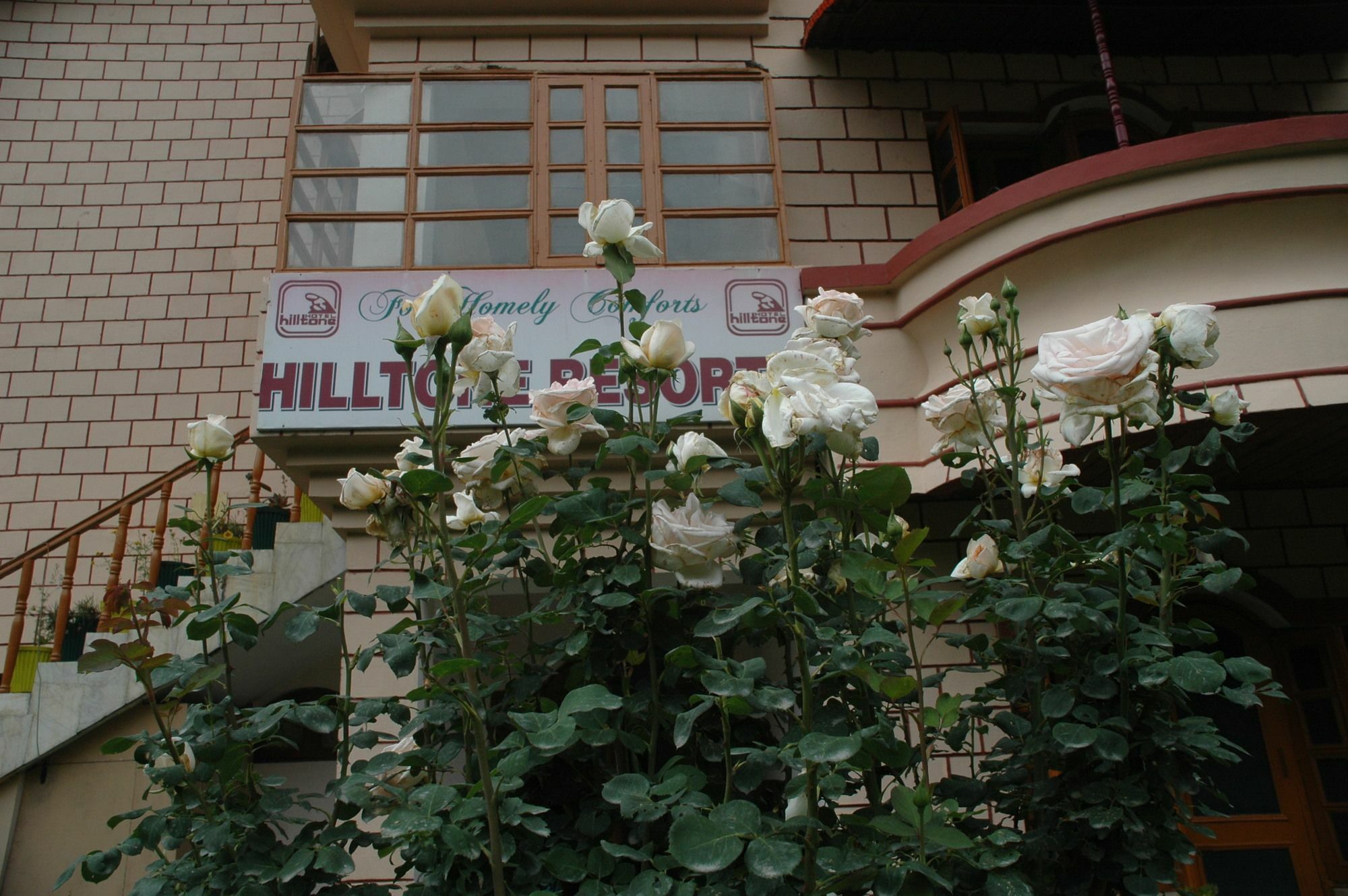 Hilltone Resorts & Spa Manāli Extérieur photo